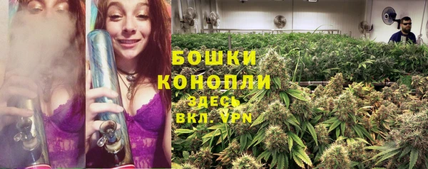 скорость Алзамай