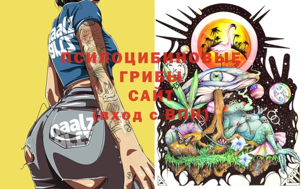 героин Новодвинск